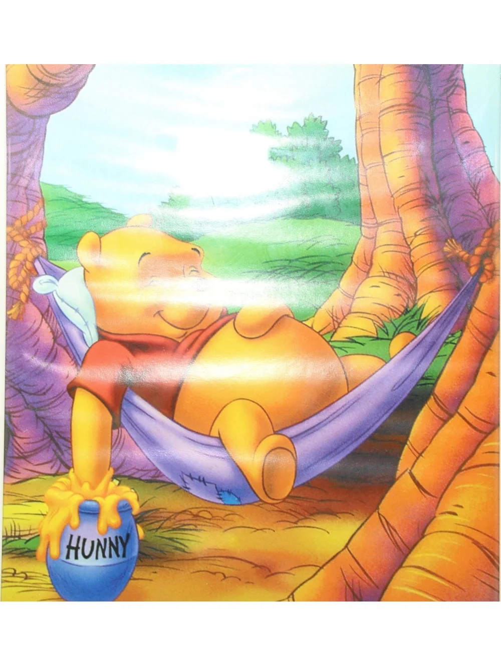 Vintage Trends Disney Picture Framed Winnie the Pooh Hammock Photo Frame #1665